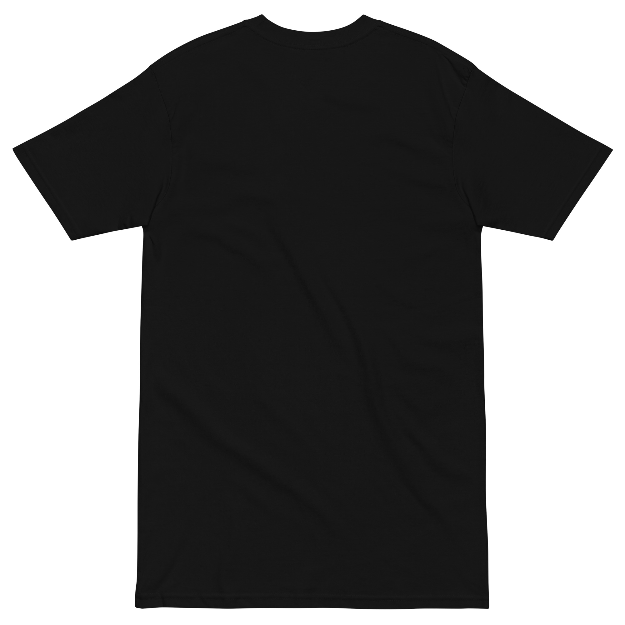 Men’s premium heavyweight tee – Image 2